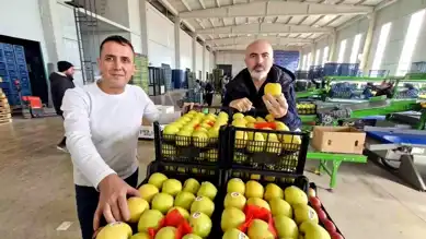Karaman'da Elma Fiyatları Tavan Yaptı!