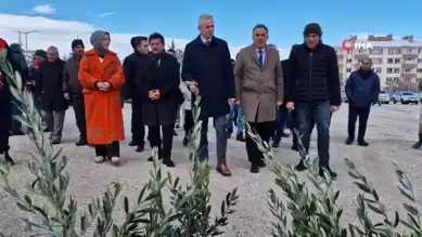 Üreticilere 45 Bin Fidan Dağıtımı