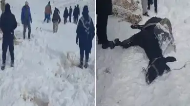 Şiddetli Tipi: 350 Hayvan Telef Oldu