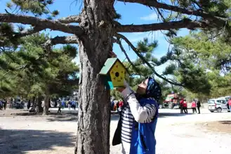 Gençler Kuşlar İçin Yuva Yaptı