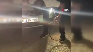 Tampon Sıkışan Tilki Kurtarıldı