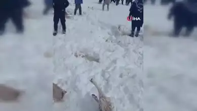 Şiddetli Tipi: Yüzlerce Koyun Telef Oldu