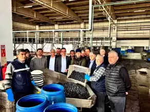 İznik Kaymakamı Zeytin Kooperatifi'ni Ziyaret Etti