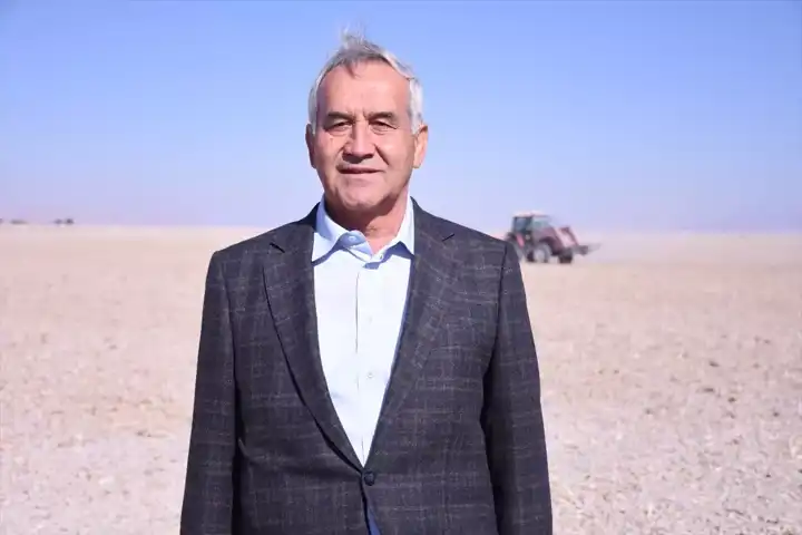 Yerel Buğday Çeşidi Yeniden Ekildi