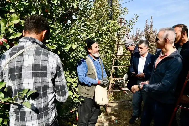 Vali, Bereketli Elma Hasadına Katıldı